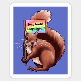Hey Look A Squirrel Sticker